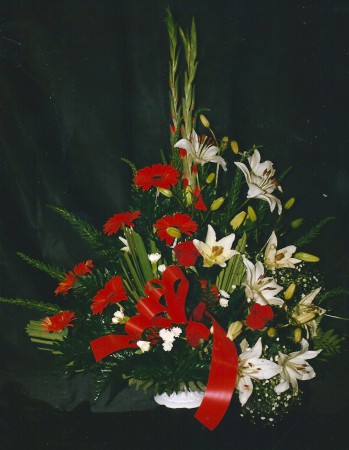 Centro 1